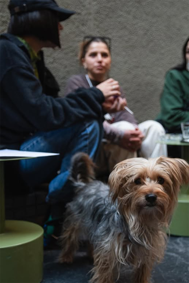 Patio Parada Ambulante - Dog Friendly